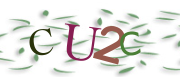 type text from image